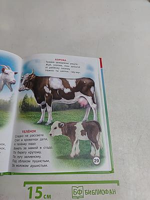 Учебник дошкольника. Родная природа