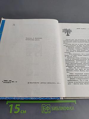 На острове сокровищ
