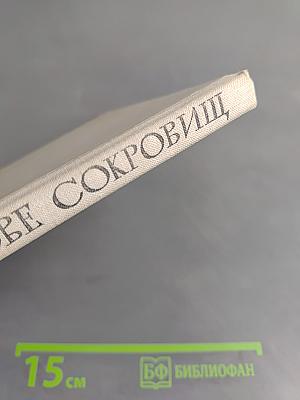 На острове сокровищ