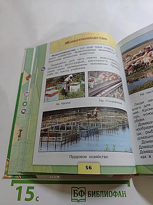 Окружающий мир. 3 класс. Часть 2