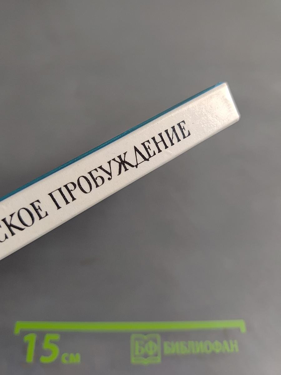 Бородинское пробуждение