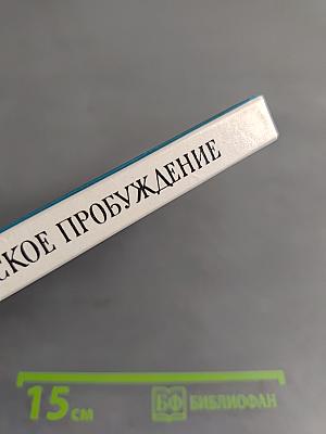 Бородинское пробуждение