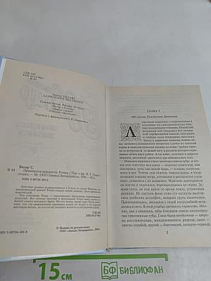 Принцесса викингов