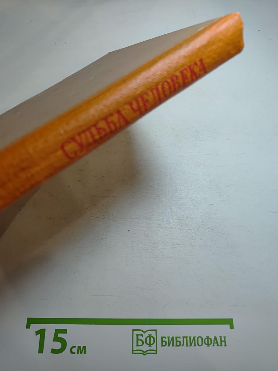 Судьба человека