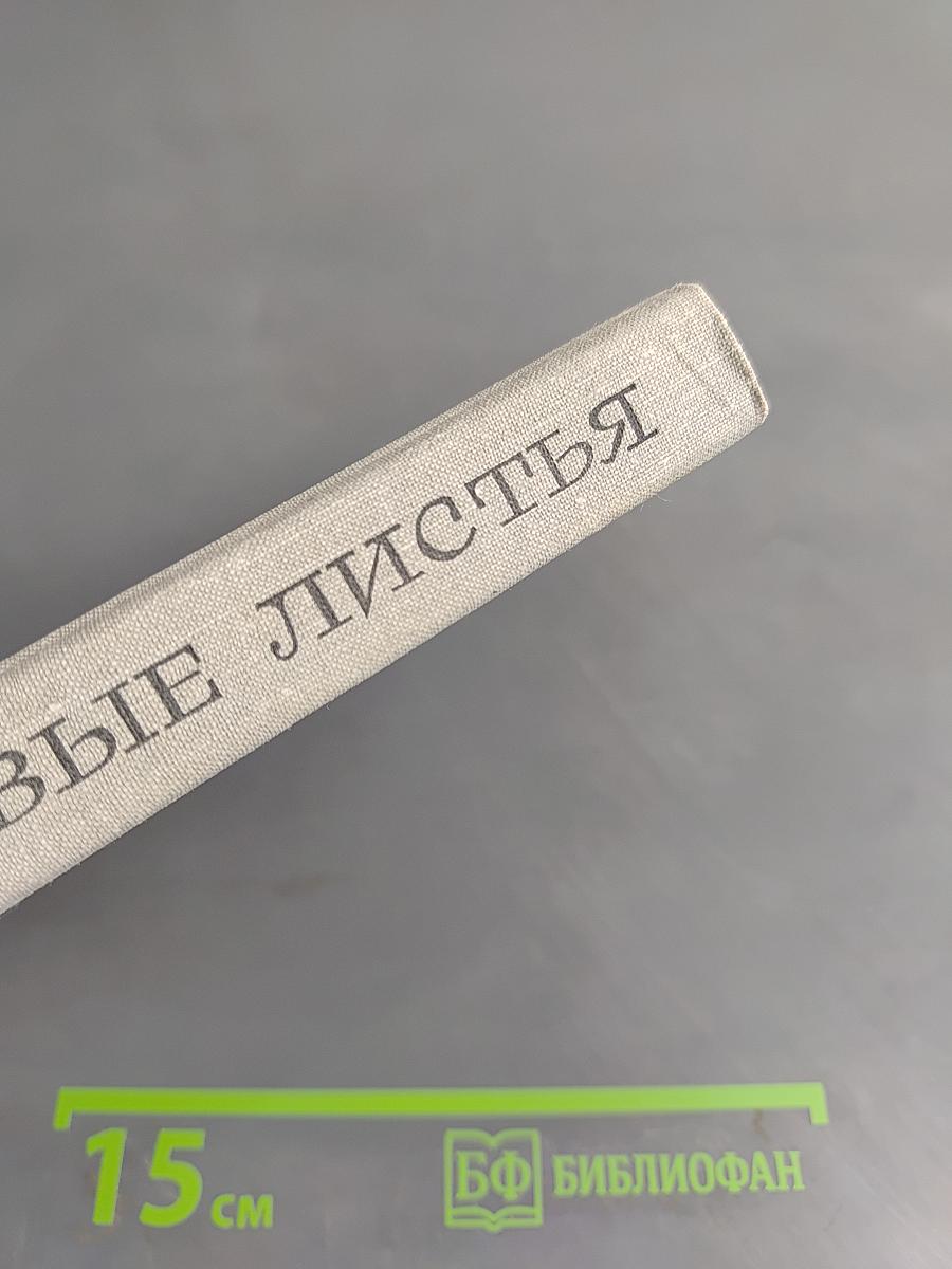 Дубовые листья