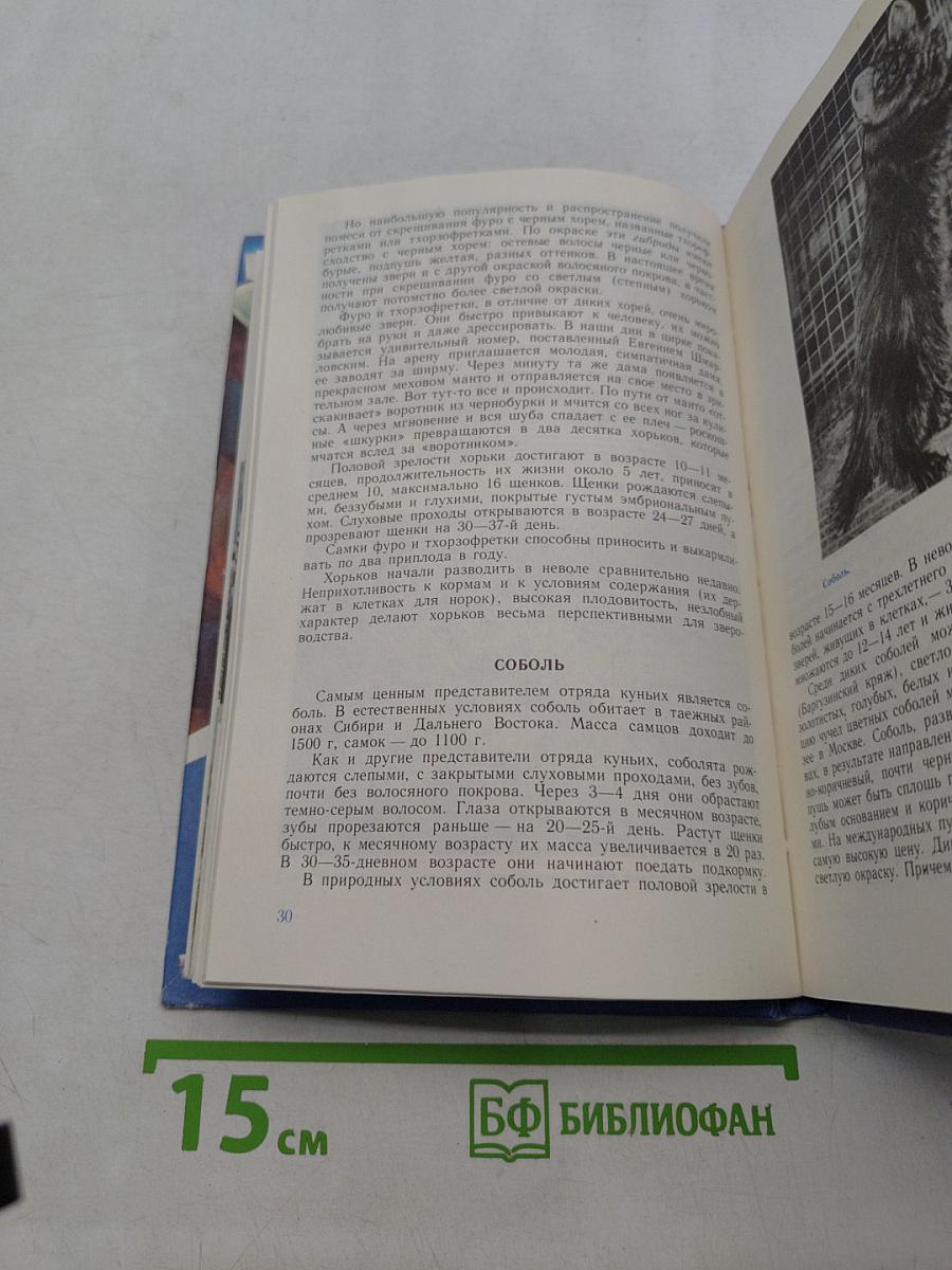 Профессия – зверовод