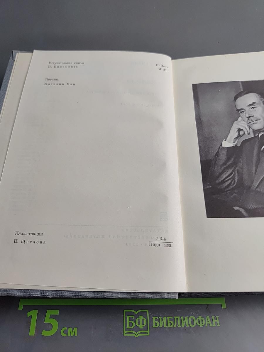 Будденброки. История гибели одного семейства