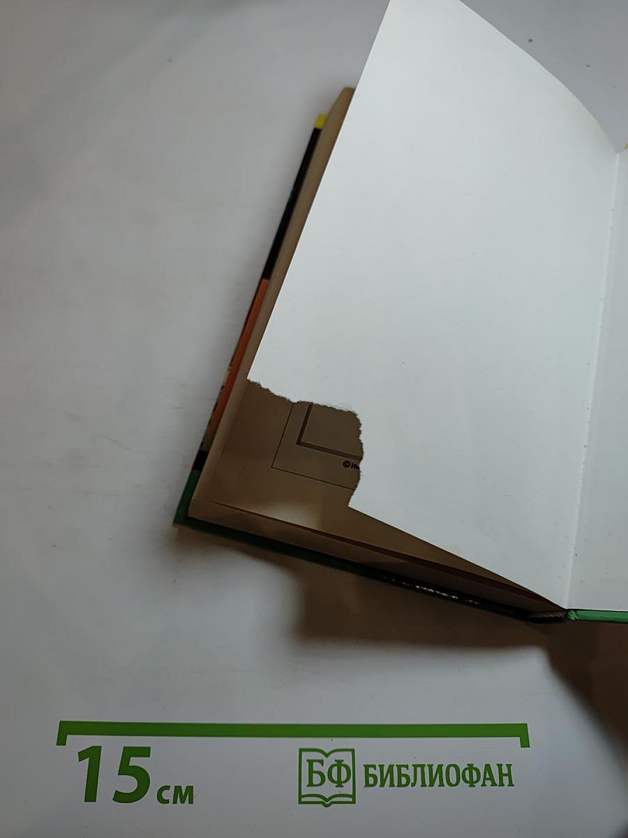 Главбух и полцарства в придачу