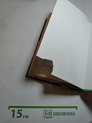 Главбух и полцарства в придачу