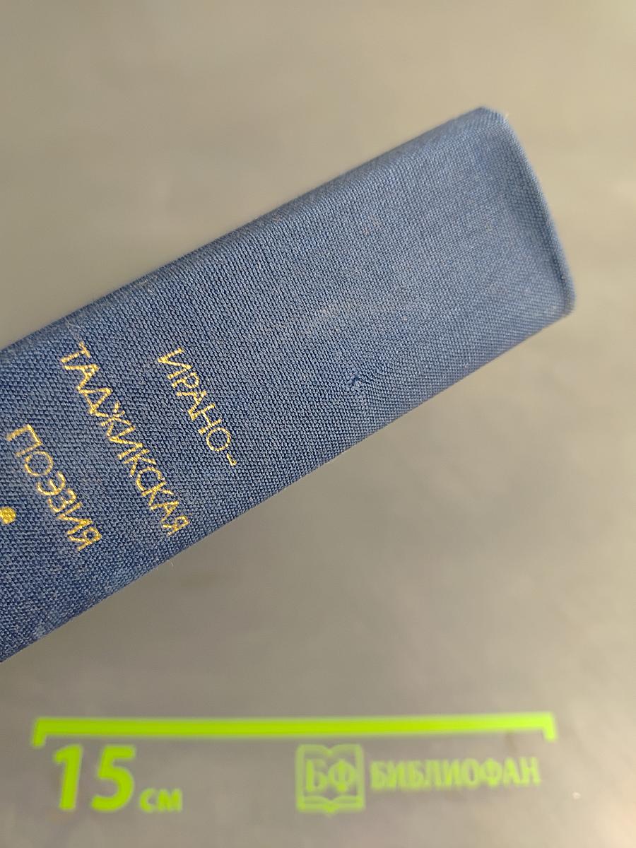 Ирано-таджикская поэзия