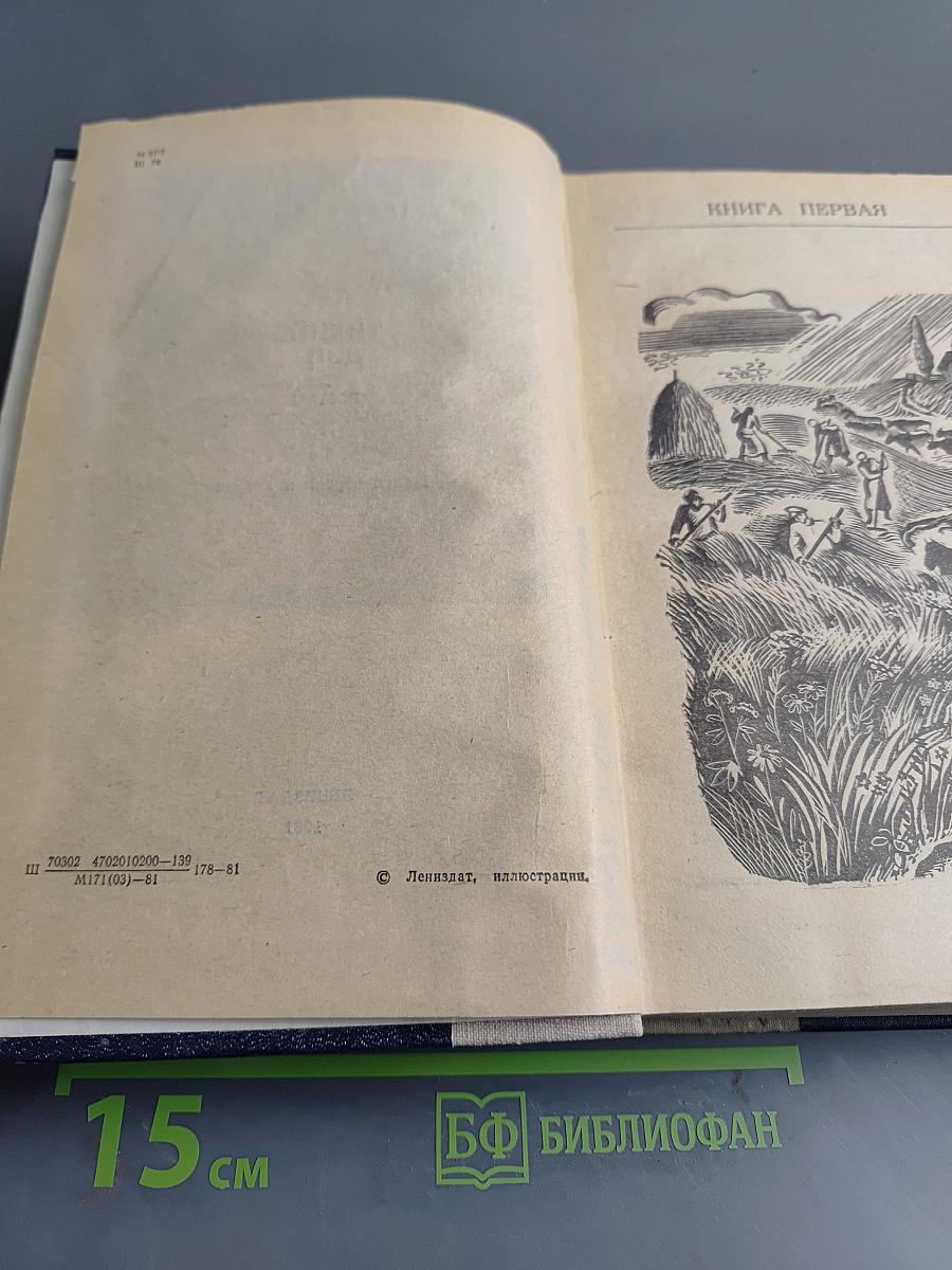 Тихий Дон. Книги первая и вторая