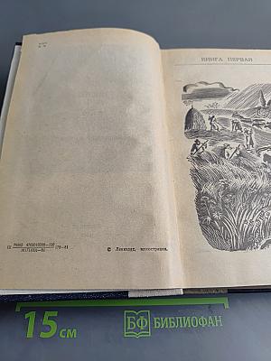 Тихий Дон. Книги первая и вторая