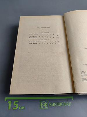 Тихий Дон. Книги первая и вторая