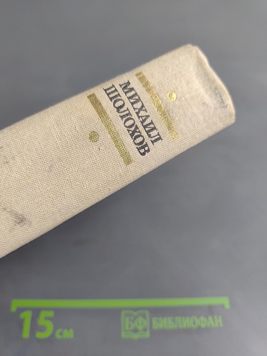 Тихий Дон. Книги первая и вторая