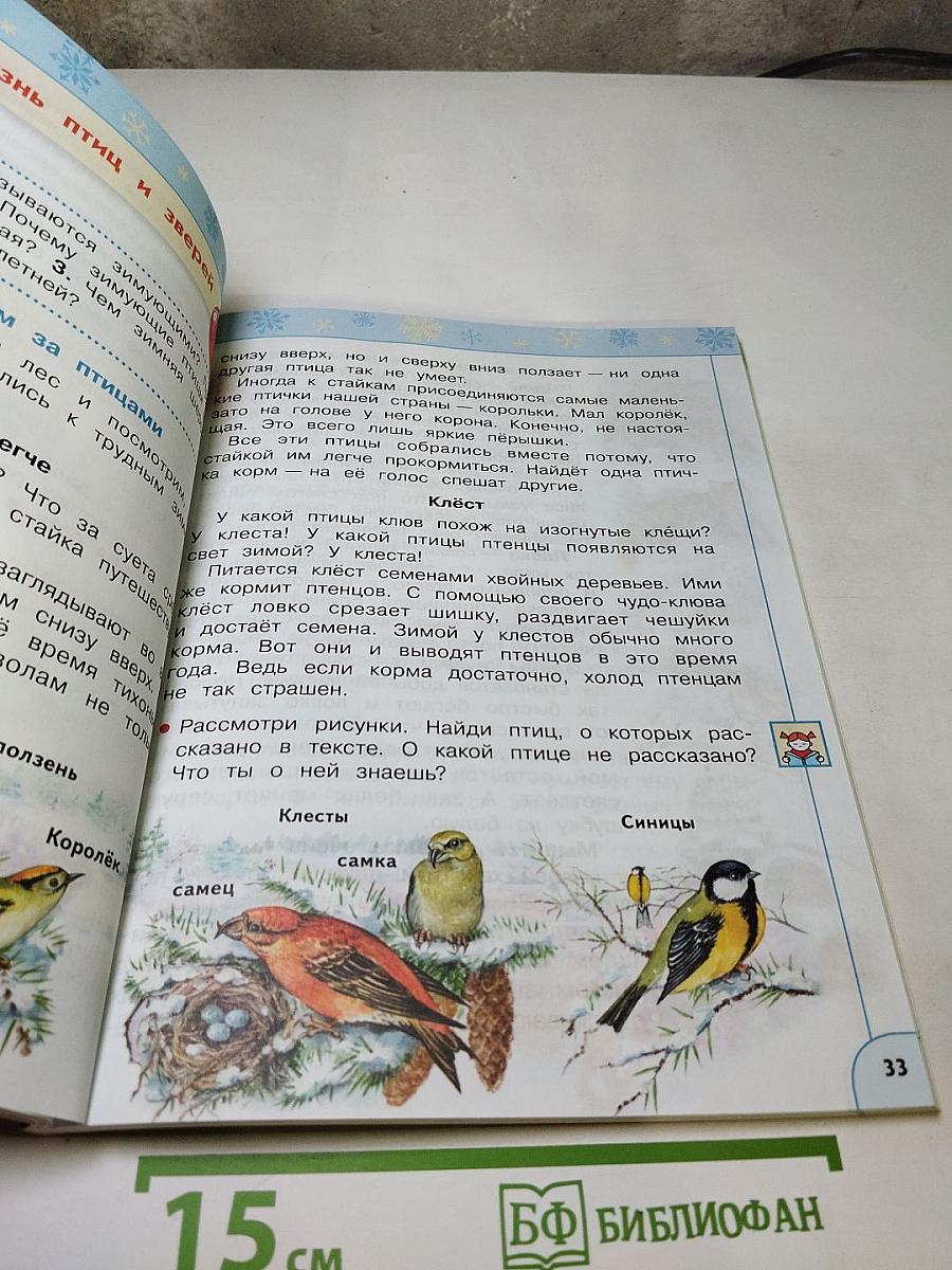 Окружающий мир, 2 класс, Часть 2
