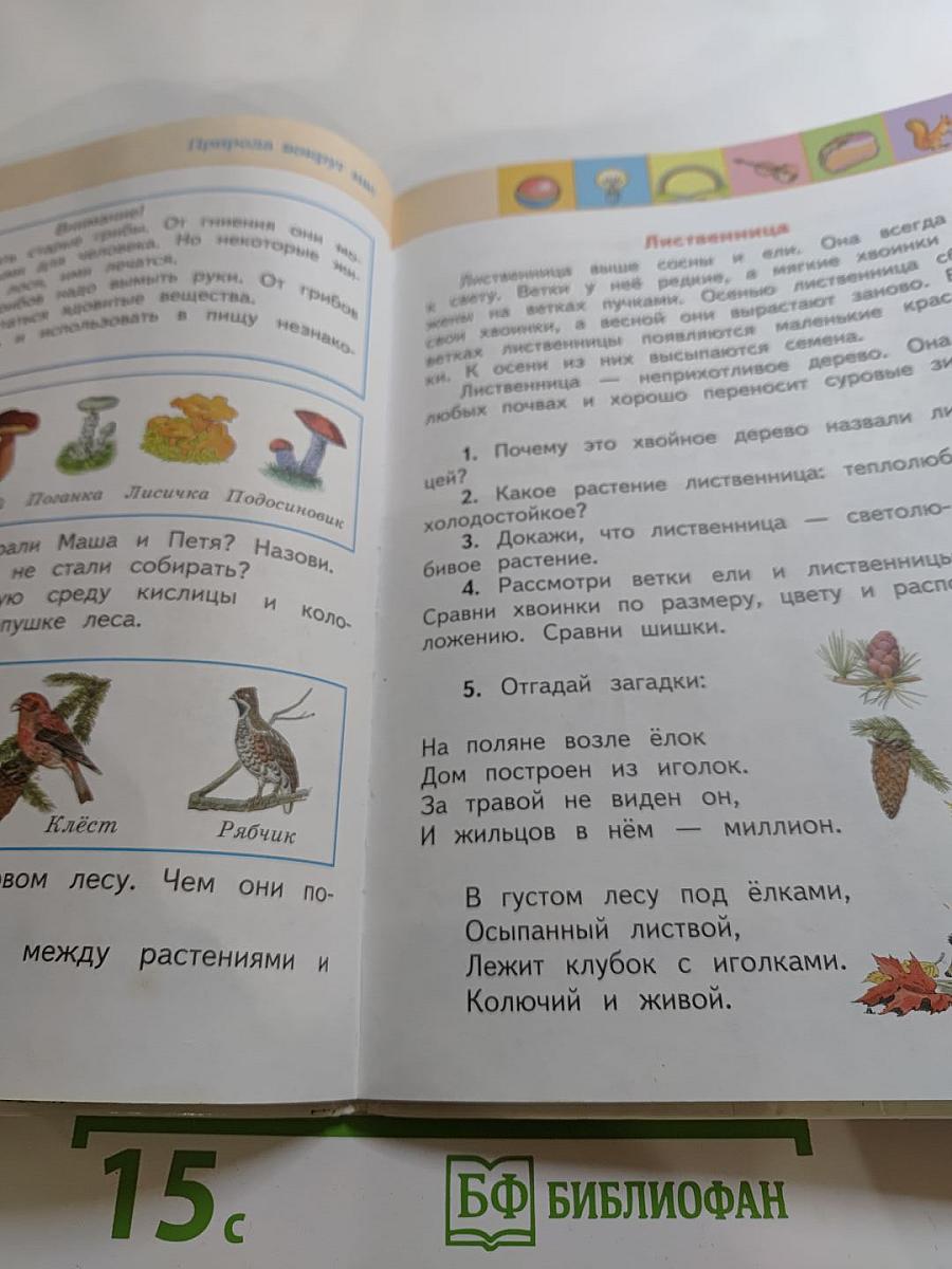 Окружающий мир, 2 класс, Часть 2