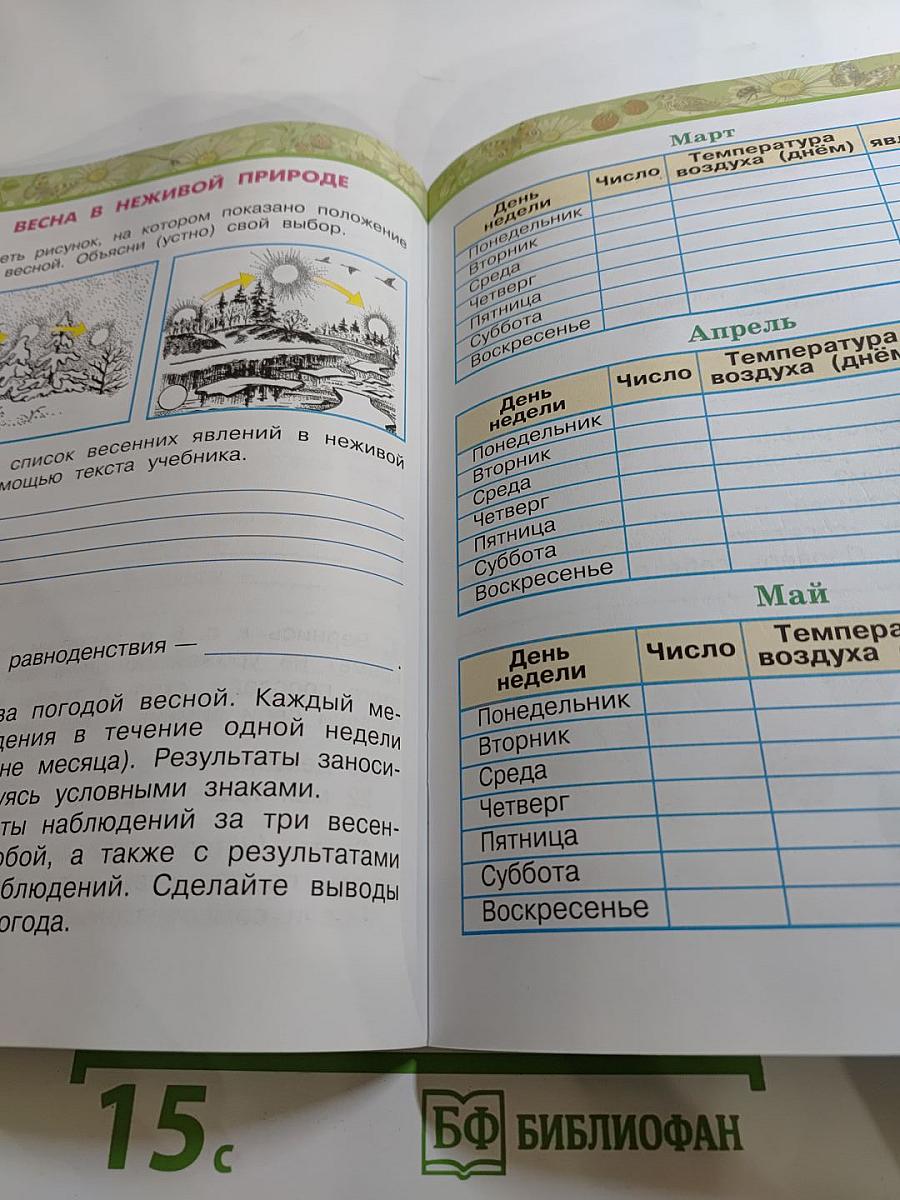 Окружающий мир. Рабочая тетрадь. 2 класс. Часть 2