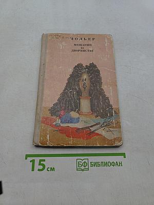 Мещанин во дворянстве