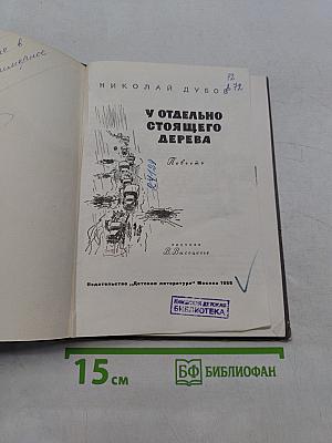 У отдельно стоящего дерева