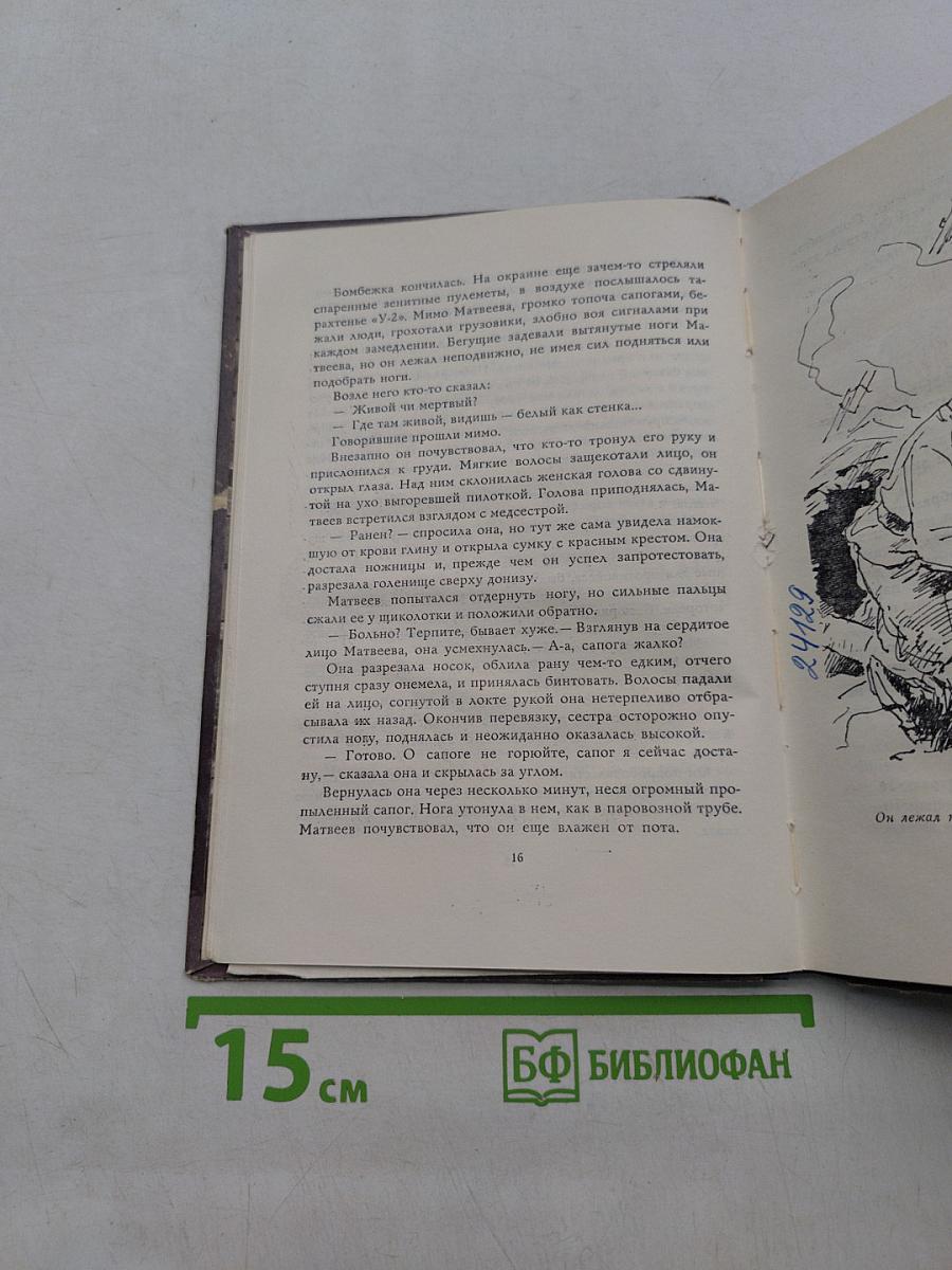 У отдельно стоящего дерева
