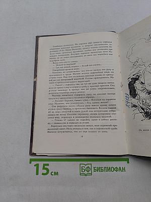 У отдельно стоящего дерева
