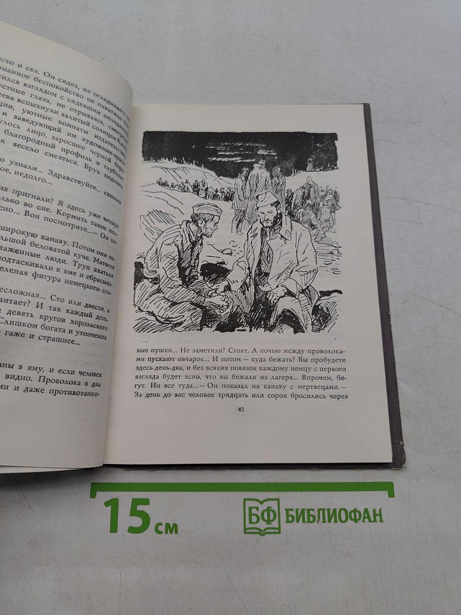 У отдельно стоящего дерева