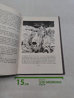 У отдельно стоящего дерева