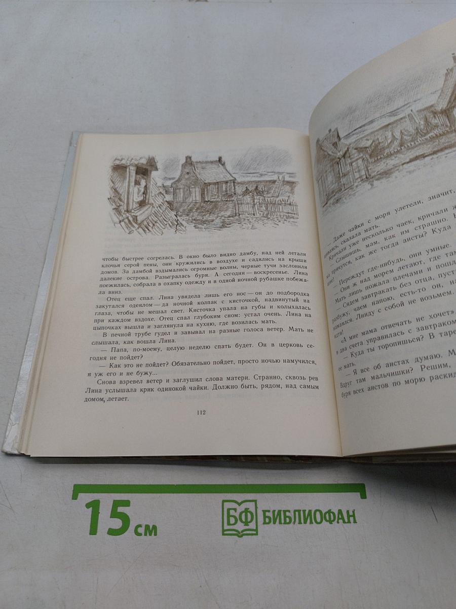Колесо на крыше