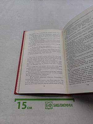 Жизнь и приключения чудака