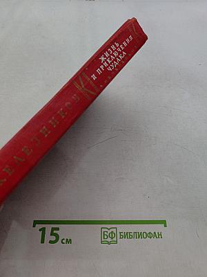 Жизнь и приключения чудака