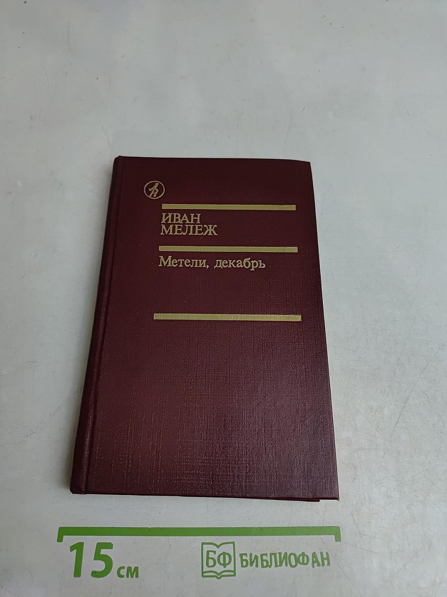 Метели, декабрь