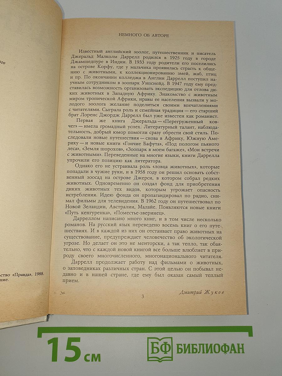 Под пологом пьяного леса