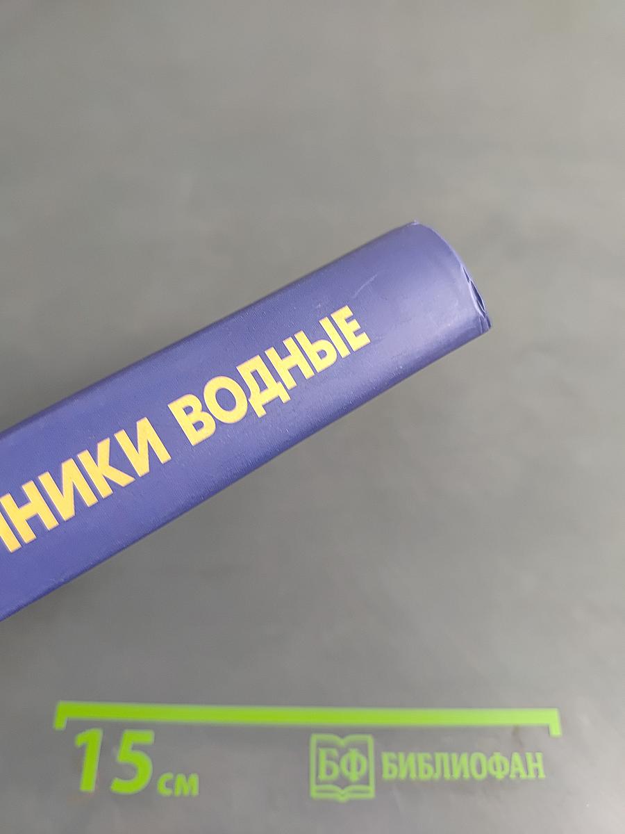 Источники водные. Практические советы православному