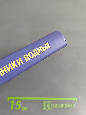 Источники водные. Практические советы православному
