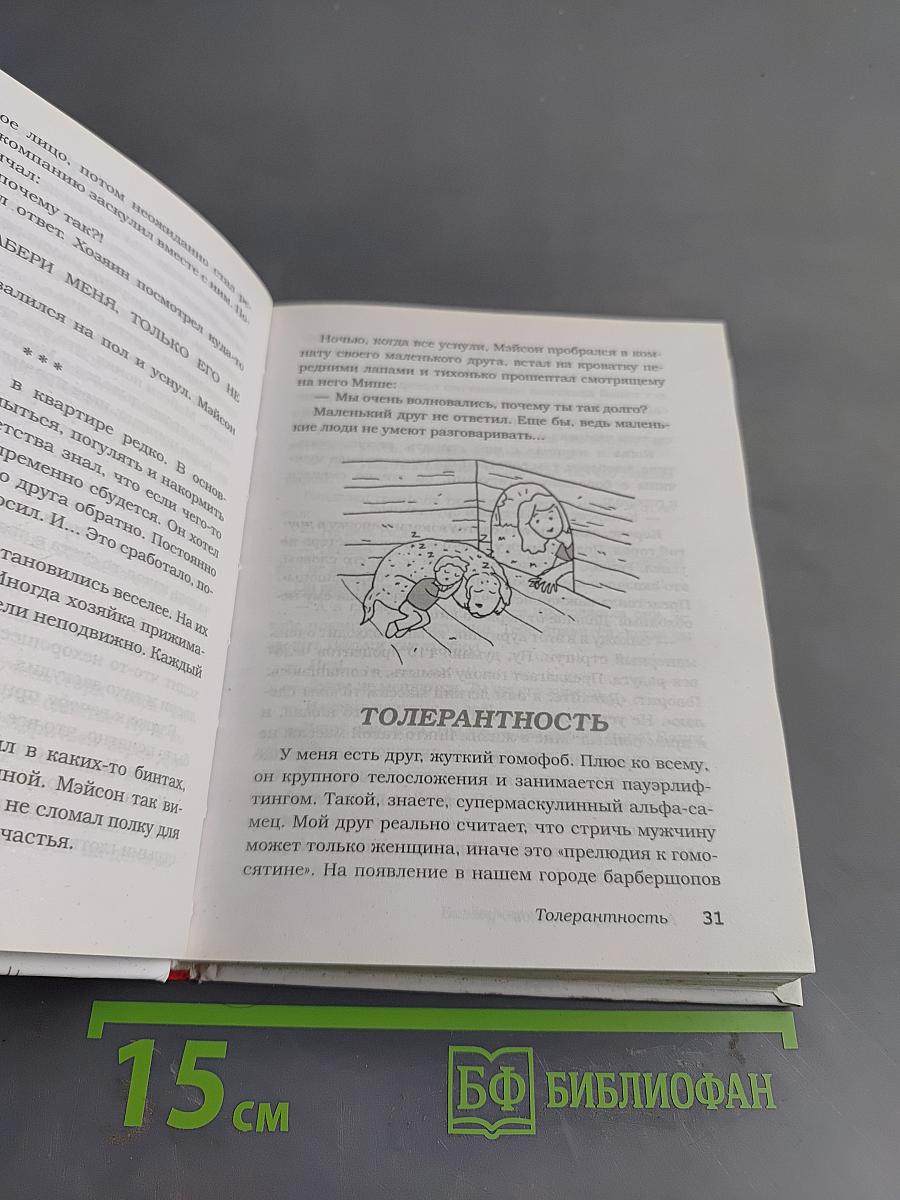 Мадам