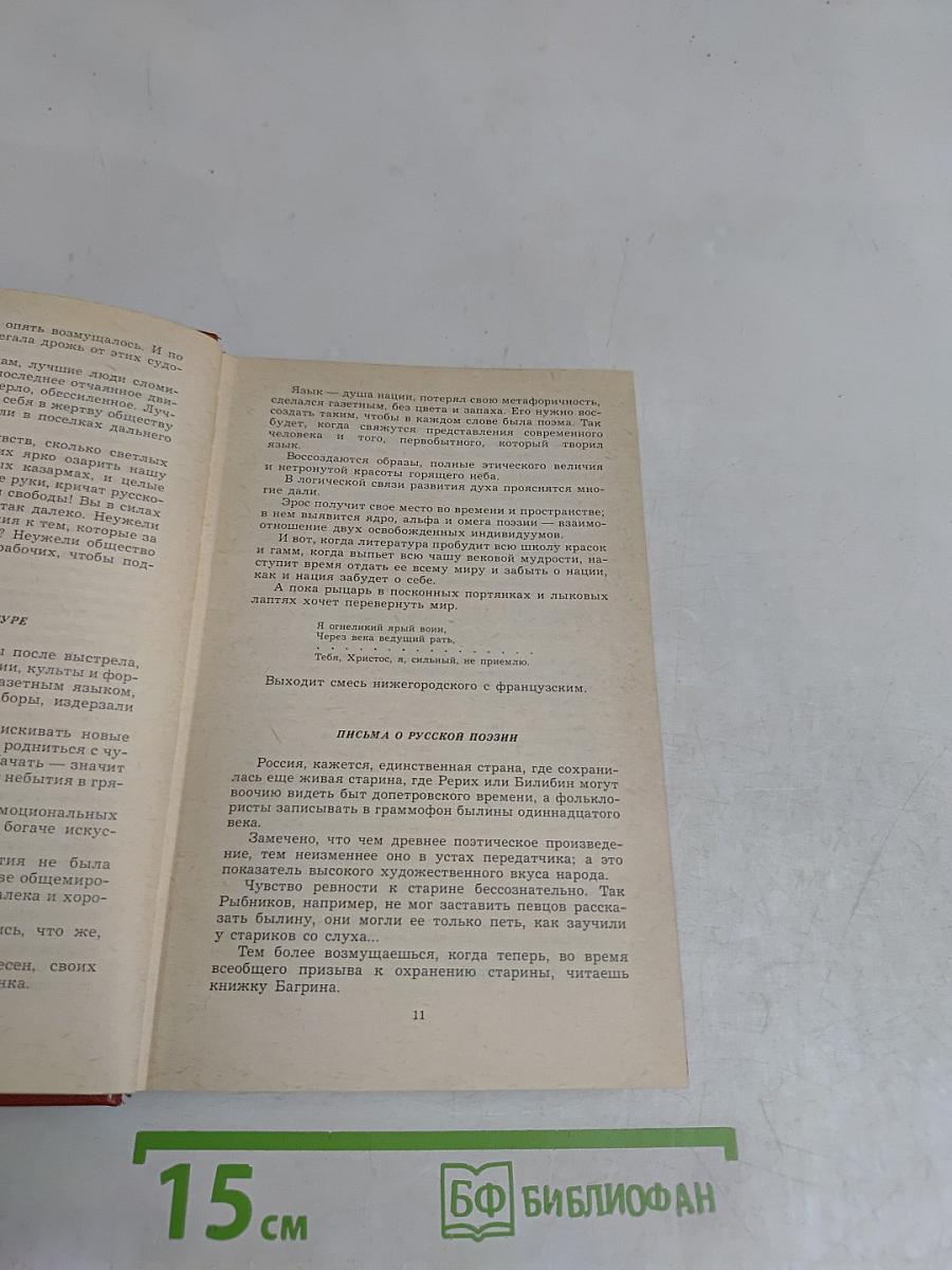 Собрание сочинений. Том десятый. Публицистика. Рассказы Ивана Сударева