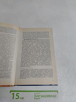 Русская история для детей и юношества