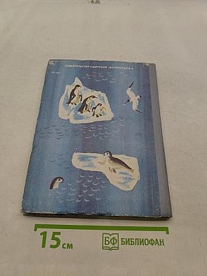 Стихи из рюкзака