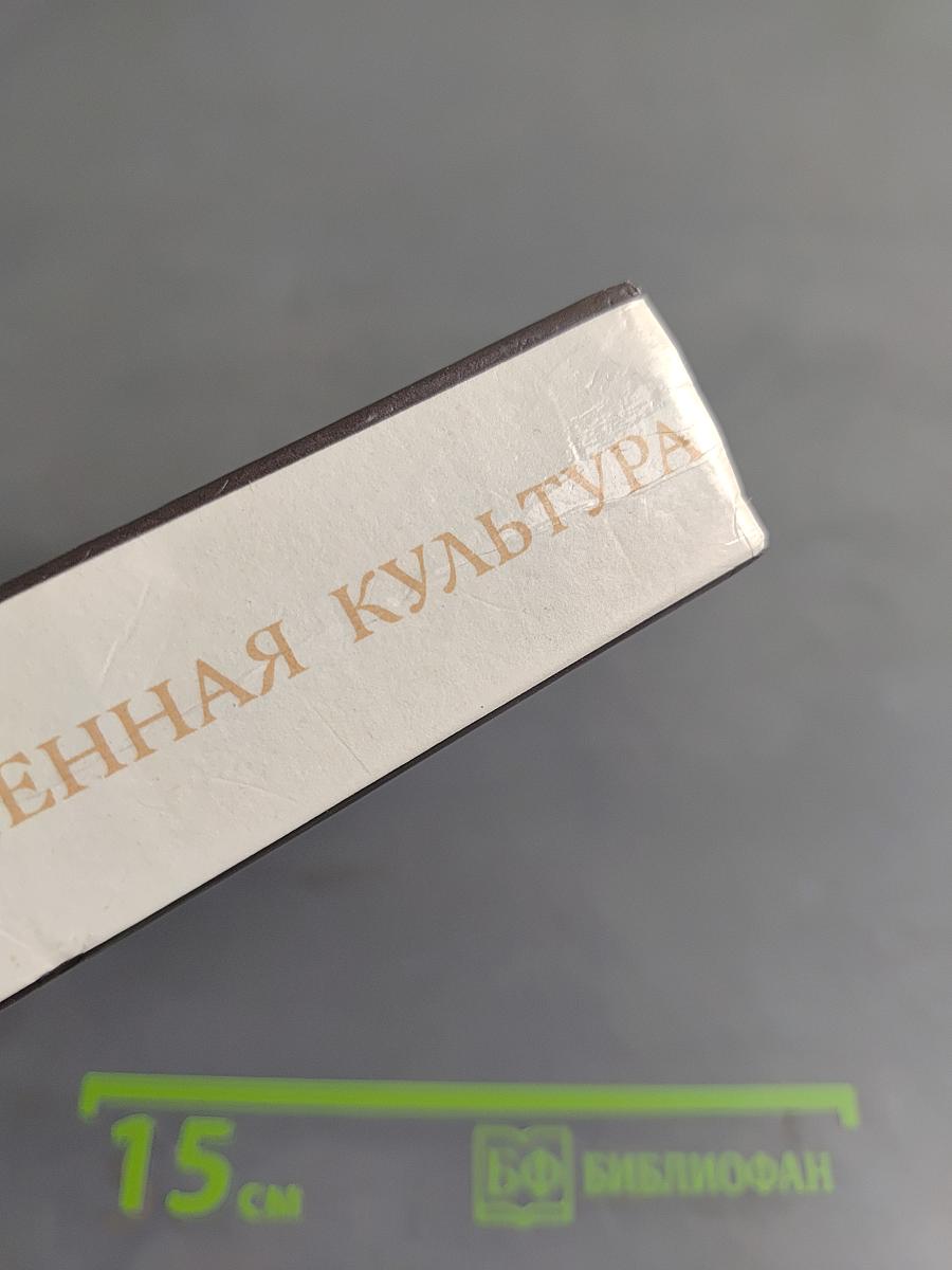 Ватикан и современная культура