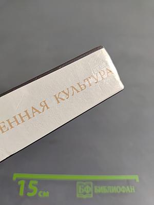 Ватикан и современная культура