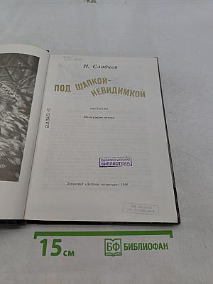 Под шапкой-невидимкой
