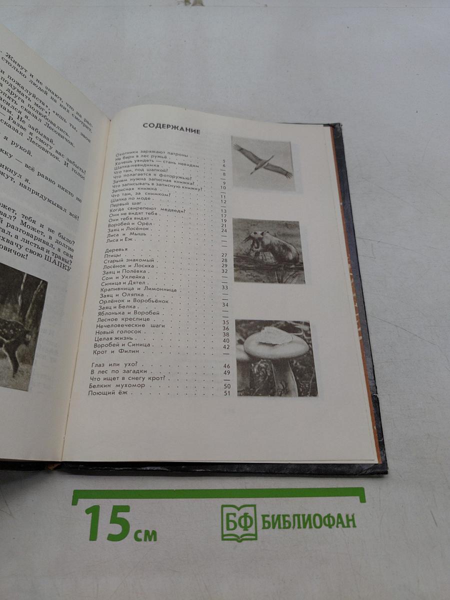 Под шапкой-невидимкой