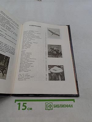Под шапкой-невидимкой