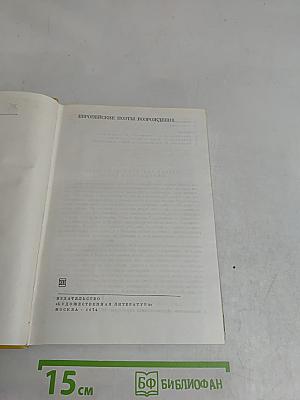 Европейские поэты Возрождения