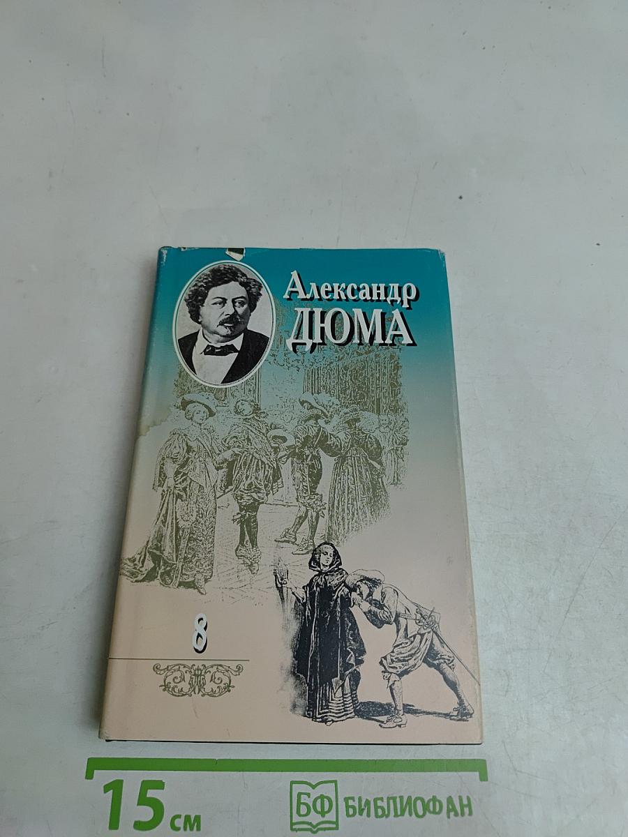 Виконт де Бражелон, или Десять лет спустя. Том восьмой
