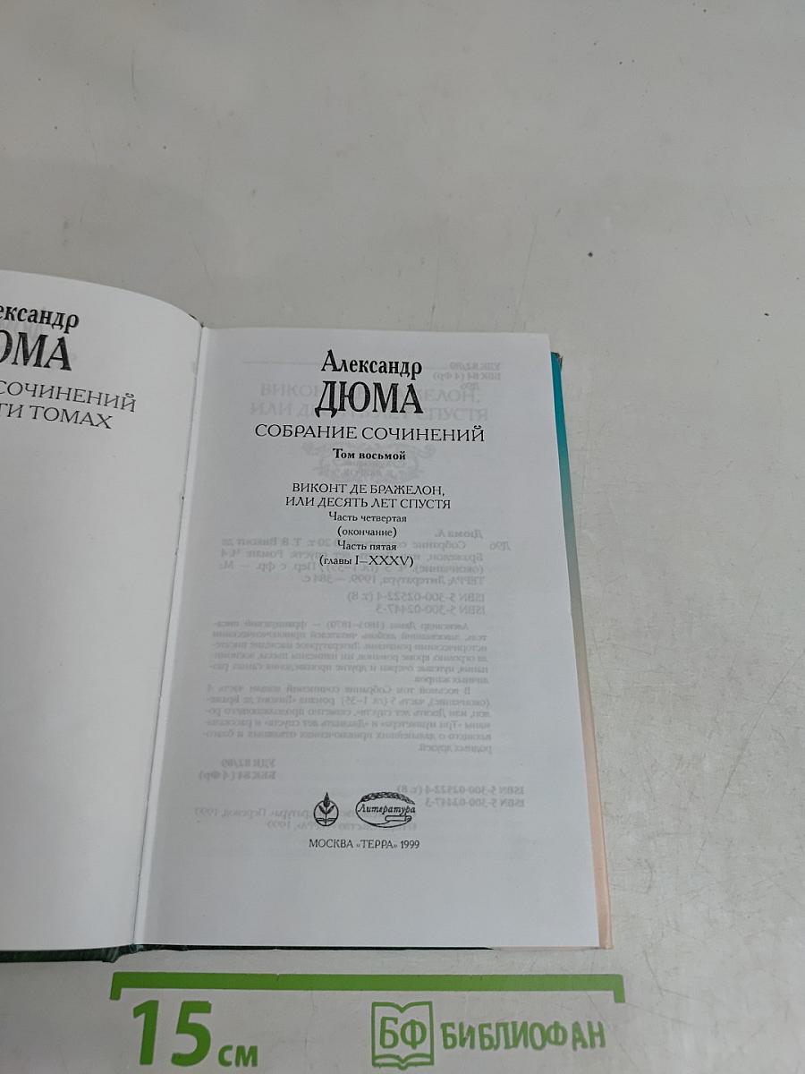Виконт де Бражелон, или Десять лет спустя. Том восьмой