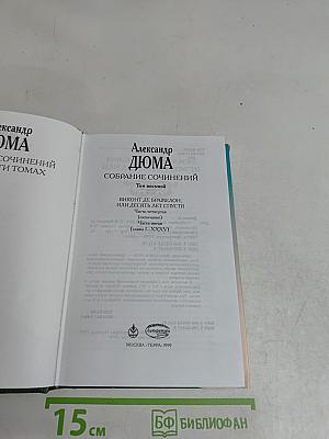 Виконт де Бражелон, или Десять лет спустя. Том восьмой