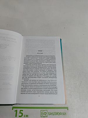 Виконт де Бражелон, или Десять лет спустя. Том восьмой