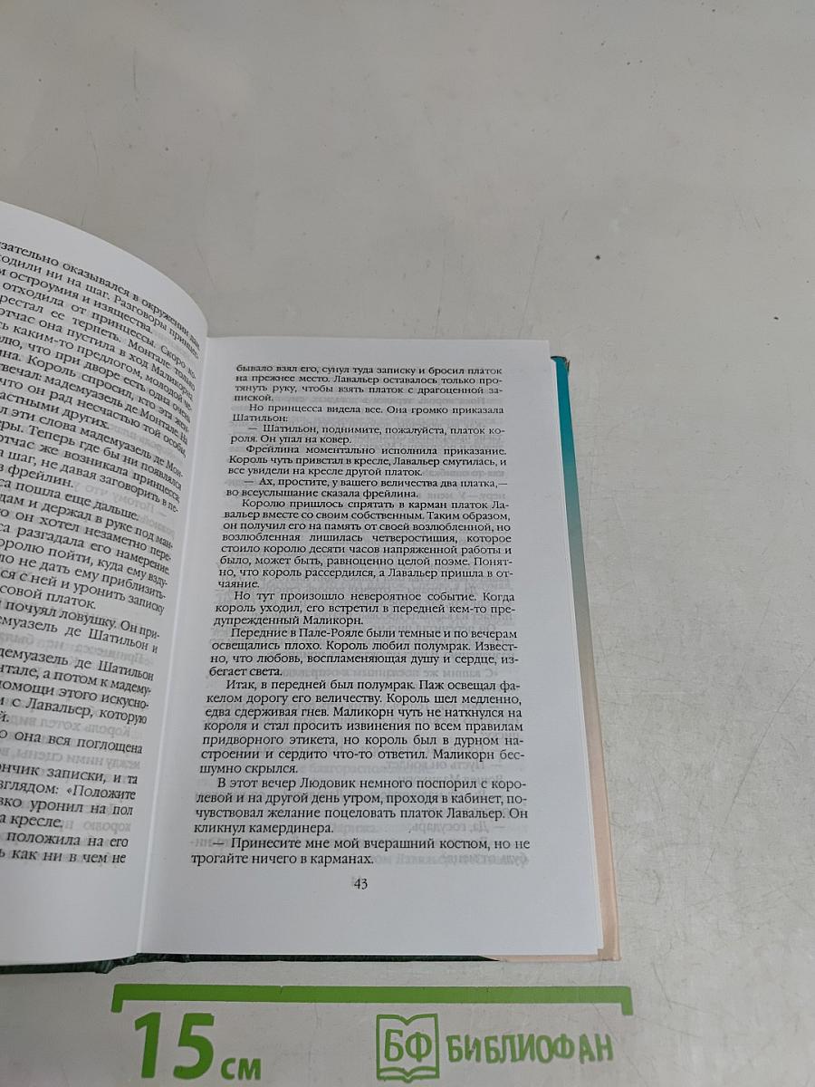 Виконт де Бражелон, или Десять лет спустя. Том восьмой