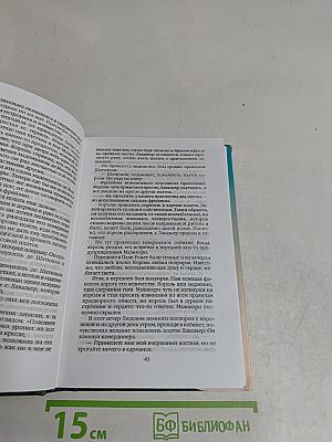 Виконт де Бражелон, или Десять лет спустя. Том восьмой